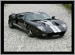 Maska, Ford GT, Wloty