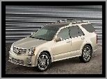 SUV, Cadillac SRX